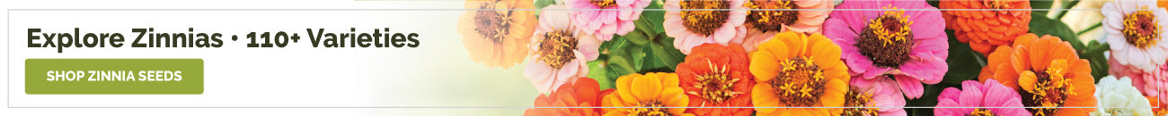 collections zinnia seeds banner