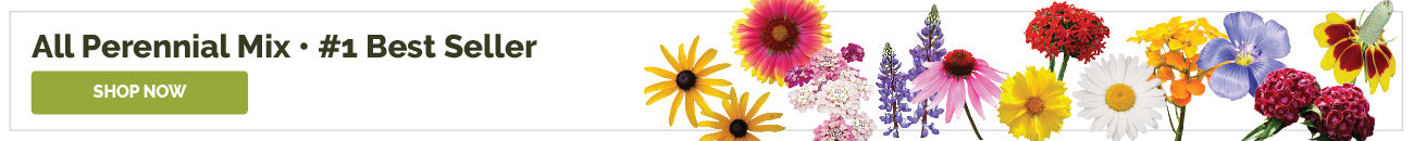 products perennial wildflower seed mix banner