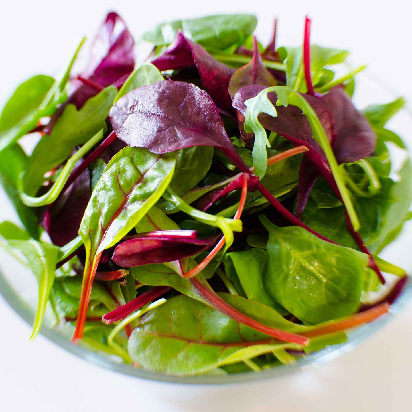 microgreen rainbow blend