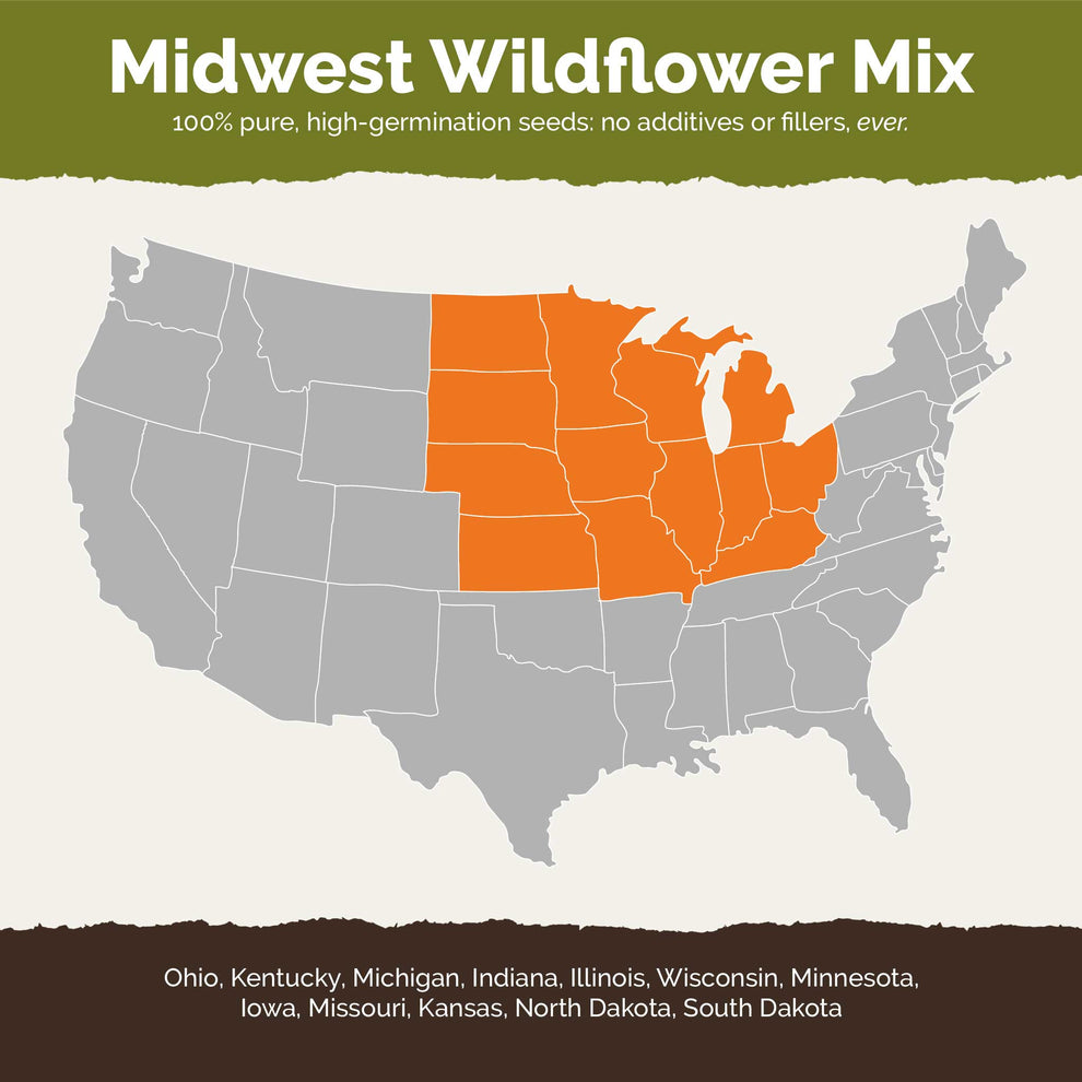 Midwest Wildflower Seed Mix Eden Brothers