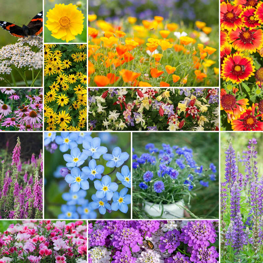 deer resistant wildflower mix