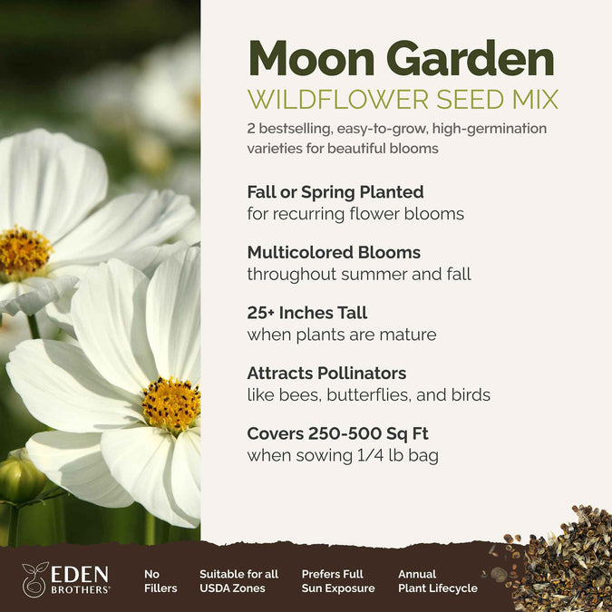 moon garden overview