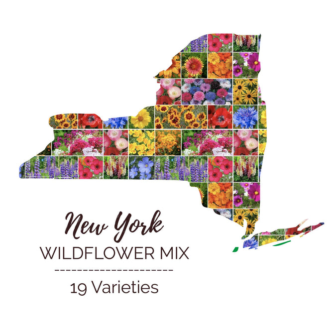 new york mix