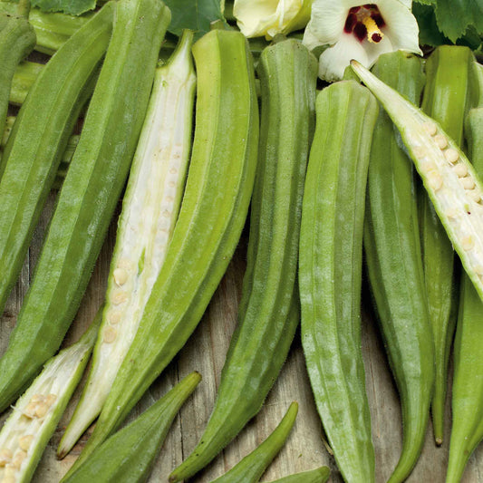 okra cow horn