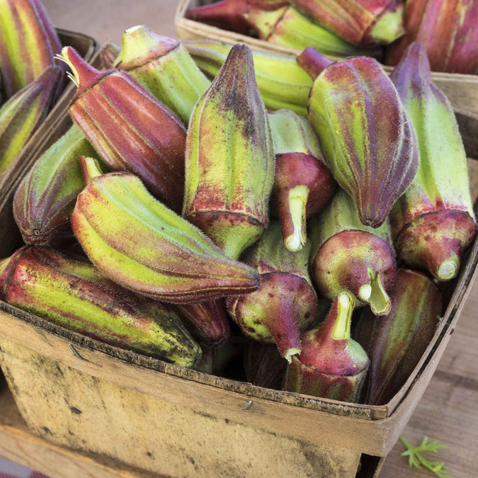 okra hill country red