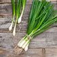 onion evergreen white nebuka