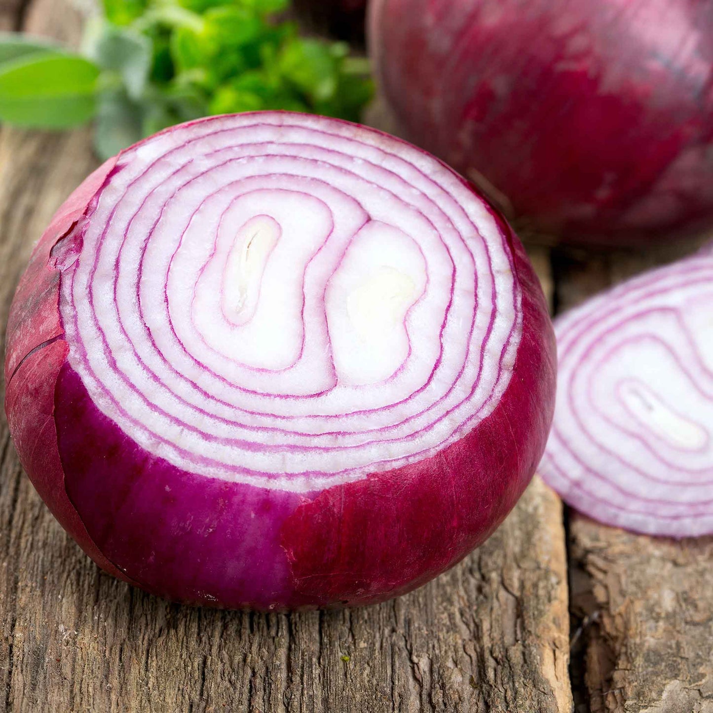 onion red burgundy