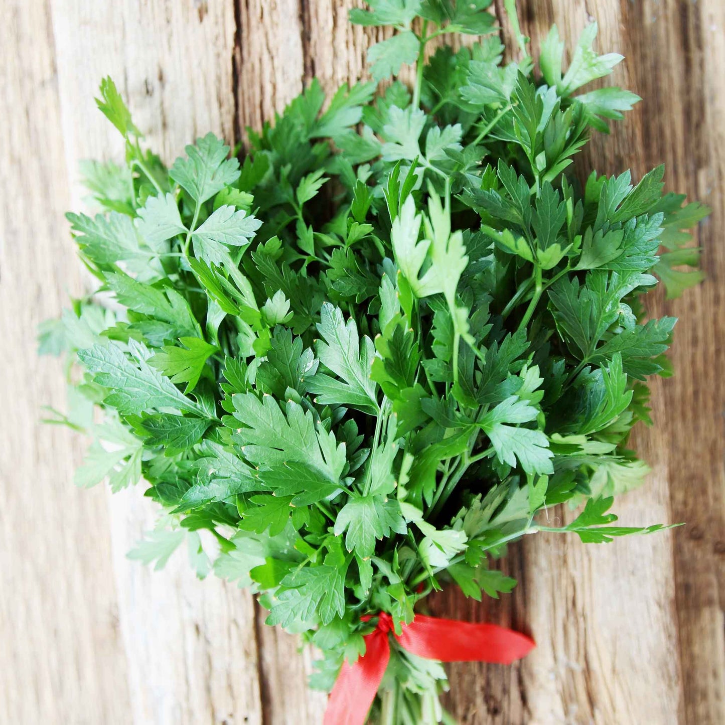 parsley italian