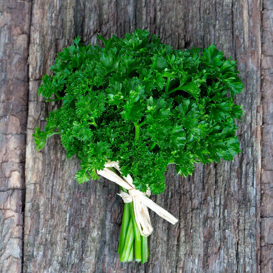parsley organic curled