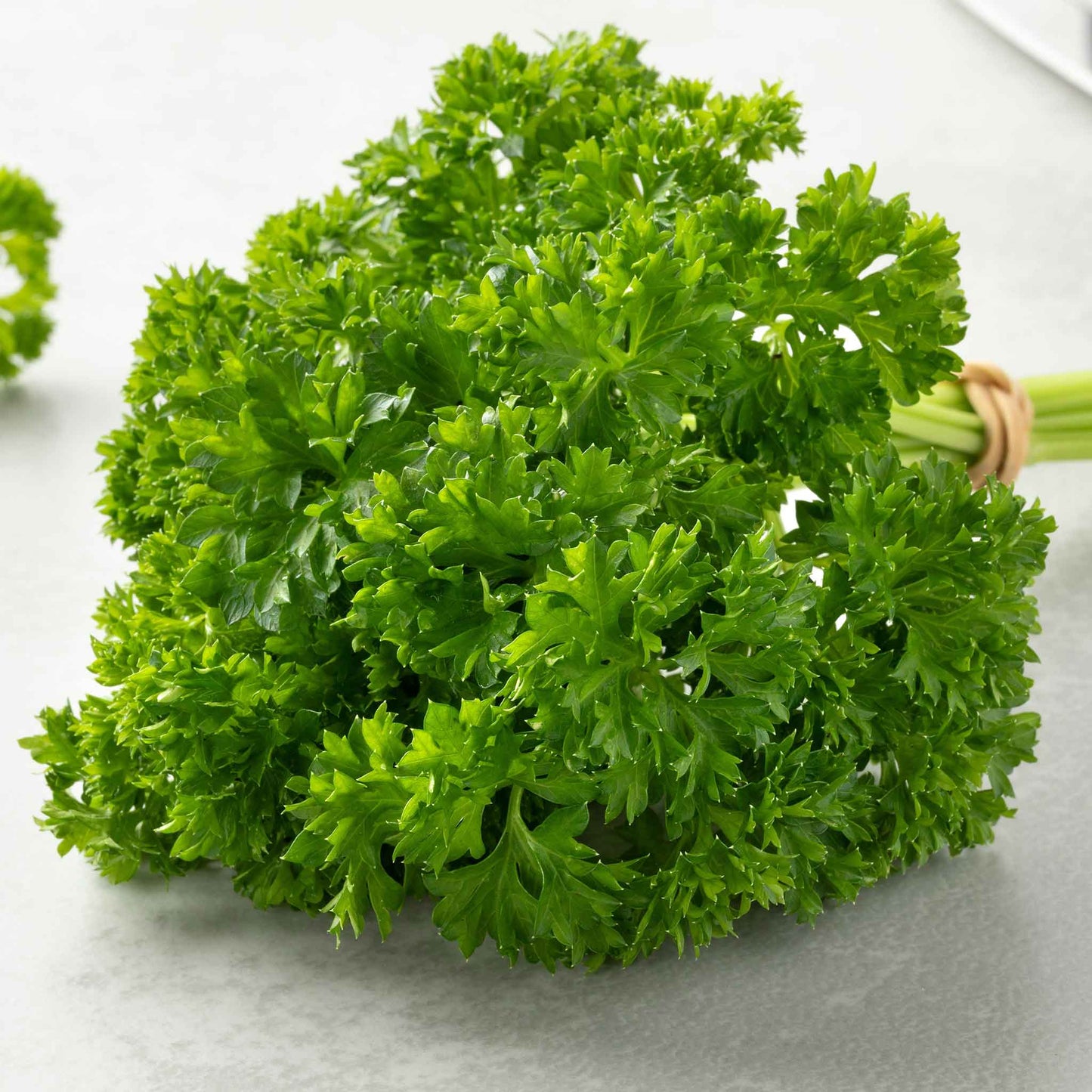 parsley paramount