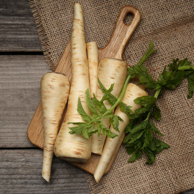 parsnip hollow crown