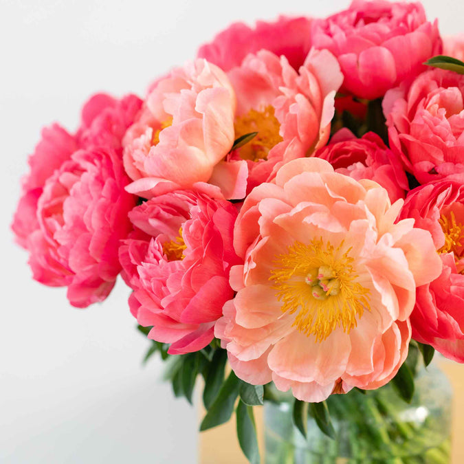 peony coral bouquet