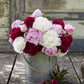 peony mix