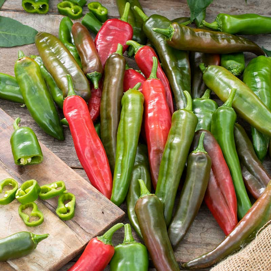 pepper anaheim chili | copyright: Floramedia UK Ltd