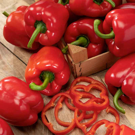 pepper big red bell | copyright: Floramedia UK Ltd