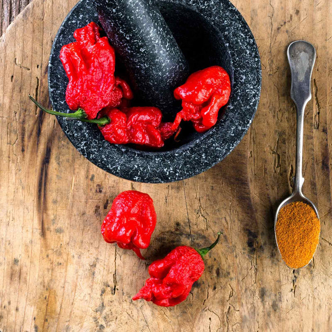 pepper carolina reaper