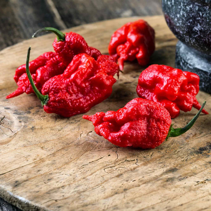 pepper carolina reaper