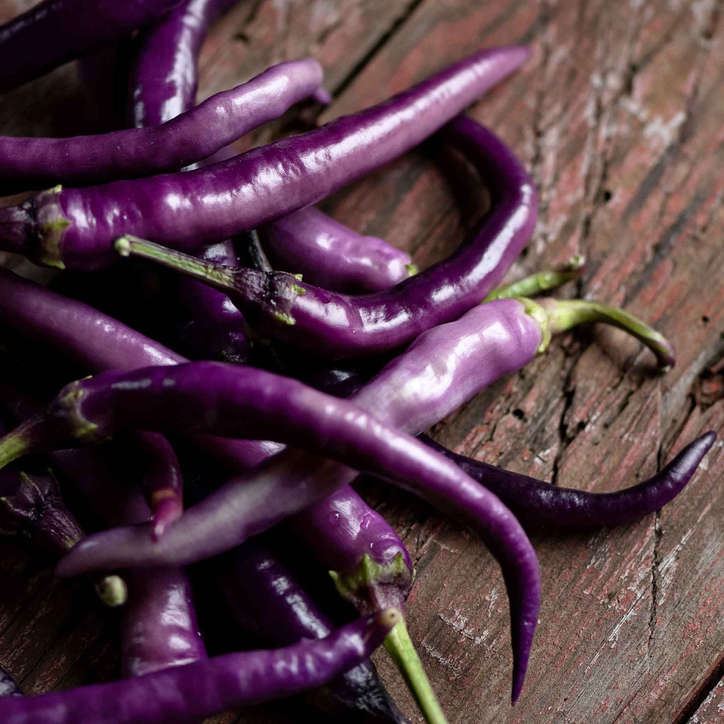 pepper cayenne purple