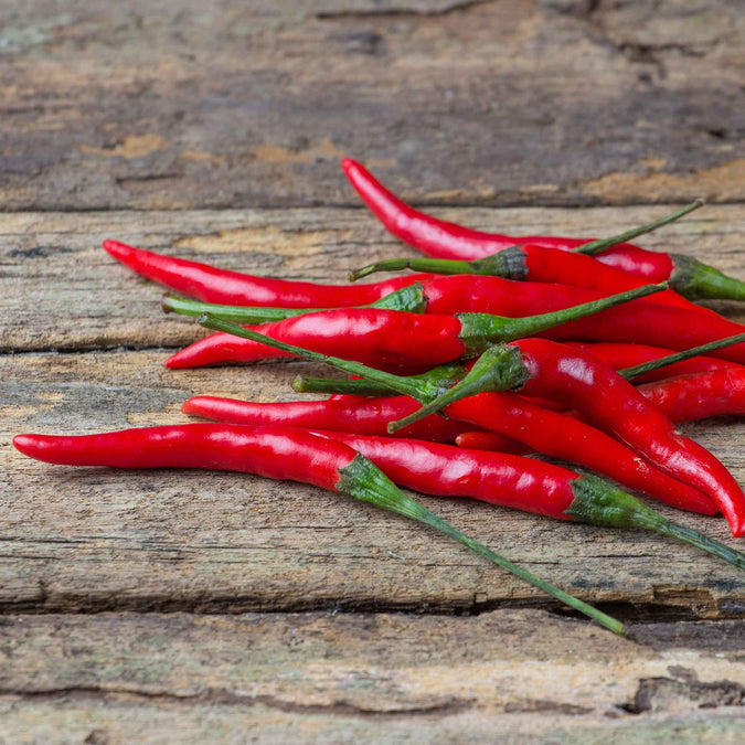 pepper chile de arbol