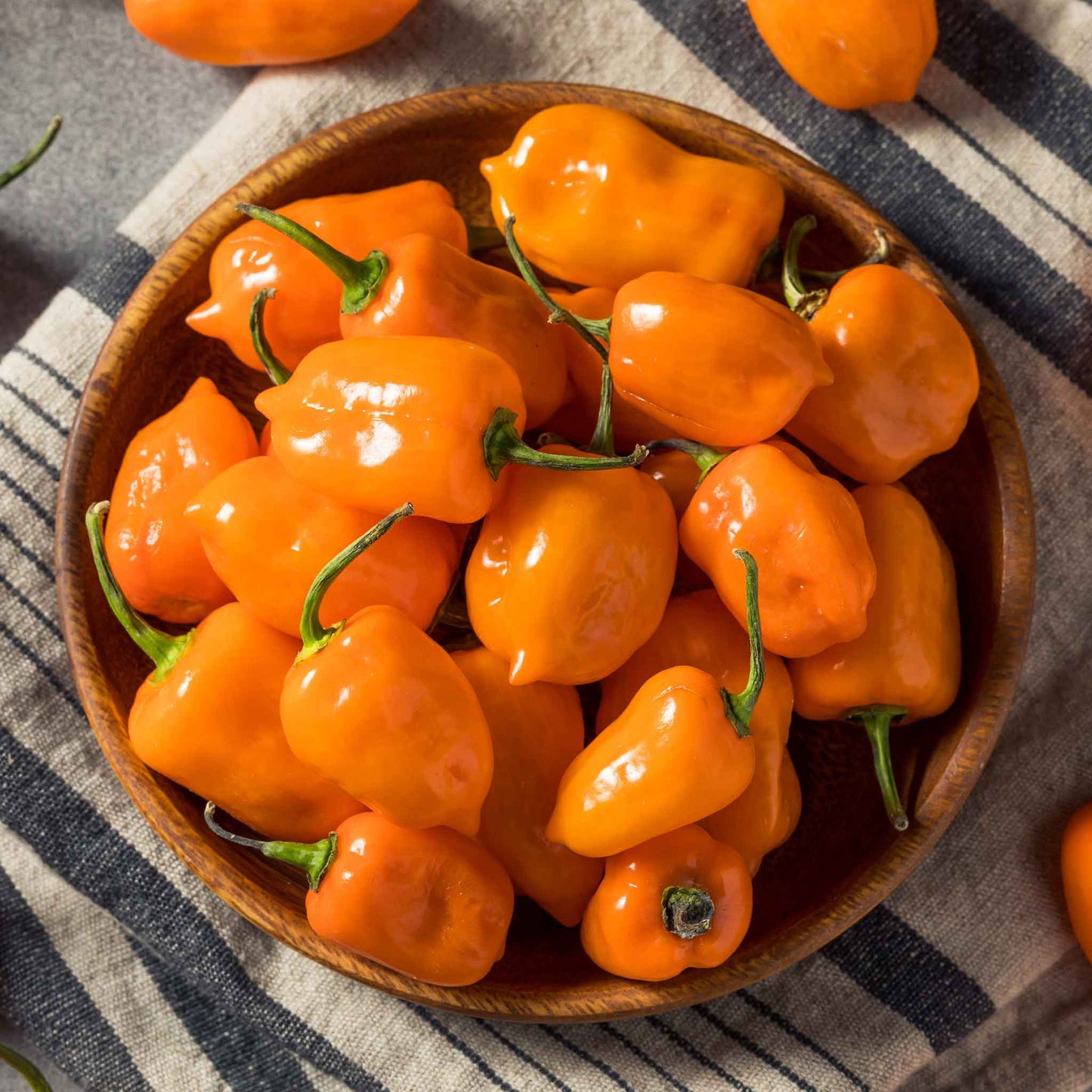 pepper habanero orange