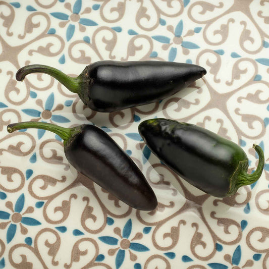 pepper jalapeno purple