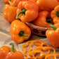 pepper orange king | copyright: Floramedia UK Ltd