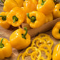 organic golden cal wonder pepper | copyright: Floramedia UK Ltd