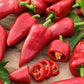 pepper piquillo | copyright: Floramedia UK Ltd