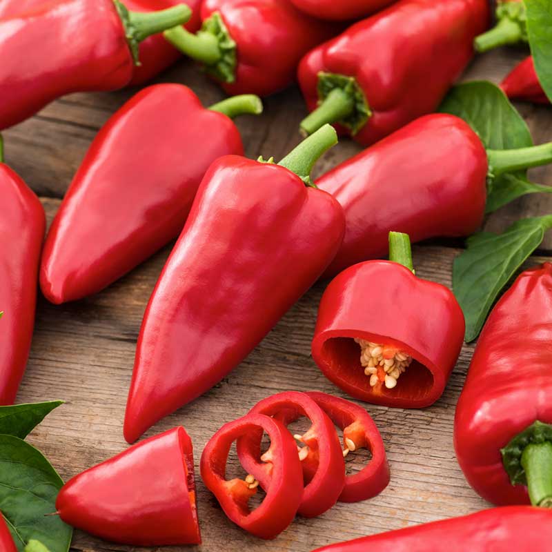 pepper piquillo | copyright: Floramedia UK Ltd