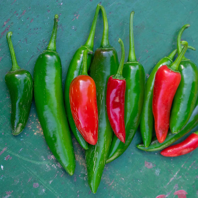 pepper serrano tampiqueno