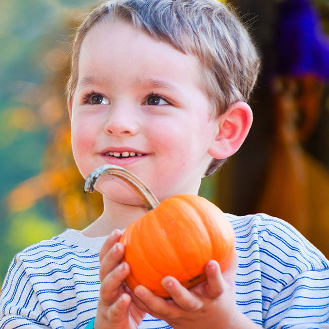 pumpkin jack be little