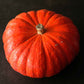 pumpkin rouge vif d etampes