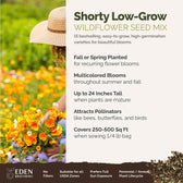 Low Grow Wildflower Seed Mix – Eden Brothers