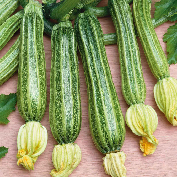 squash romanesco