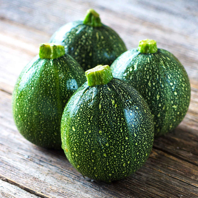 squash round zucchini