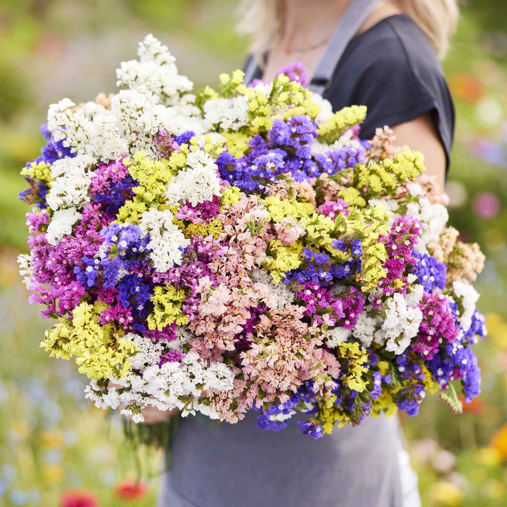 1 Package Star Anise Dried Flowers,real Dried Flowers,weddings