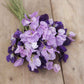 sweet pea purple mix