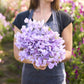 sweet pea royal lavender