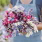 sweet pea streamer mix