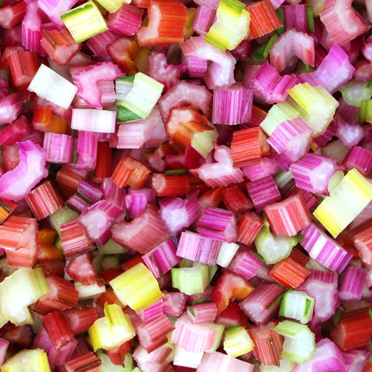 swiss chard organic rainbow of lights