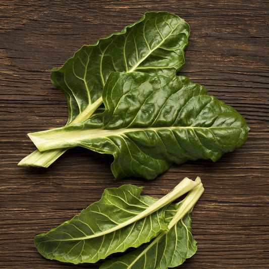 swiss chard perpetual spinach