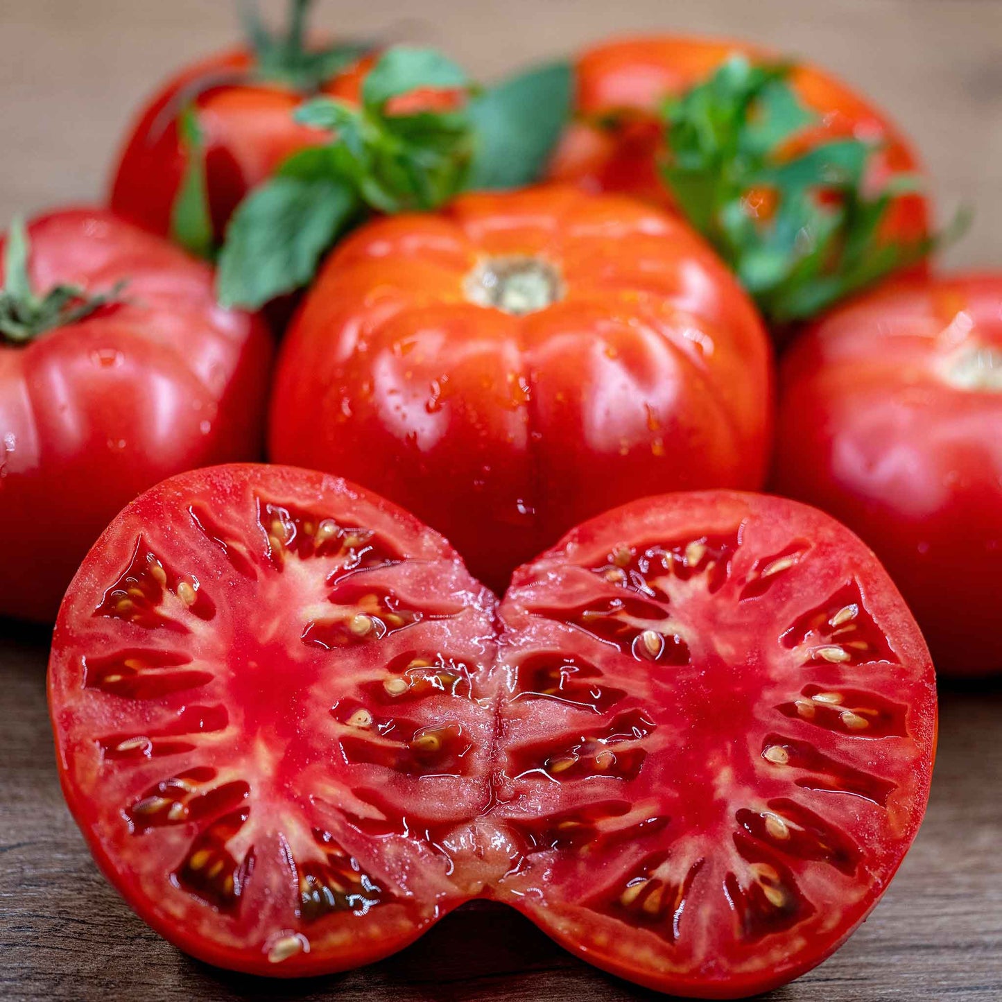 tomato cuostralee