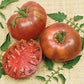 tomato organic cherokee purple