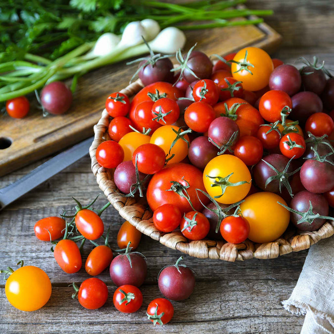 tomato rainbow cherry mixture