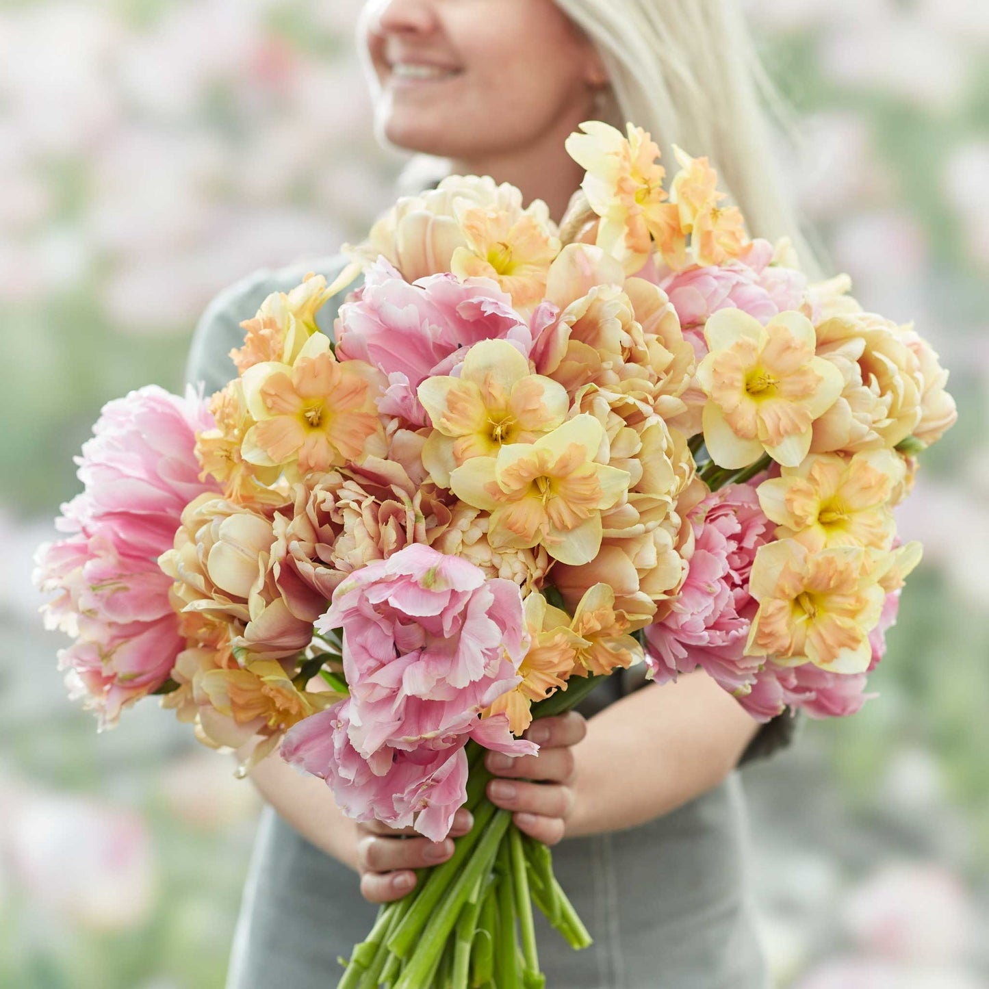 tulip and daffodil promenade mix