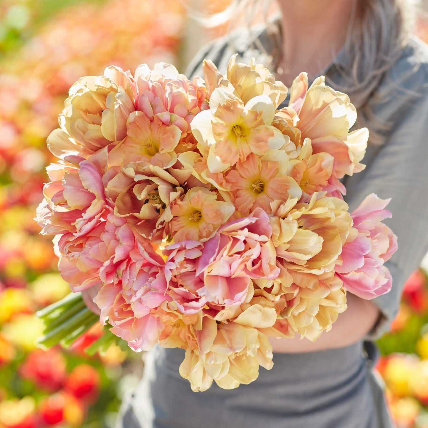 tulip and daffodil promenade mix