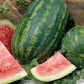 watermelon jubilee improved | copyright: Floramedia UK Ltd