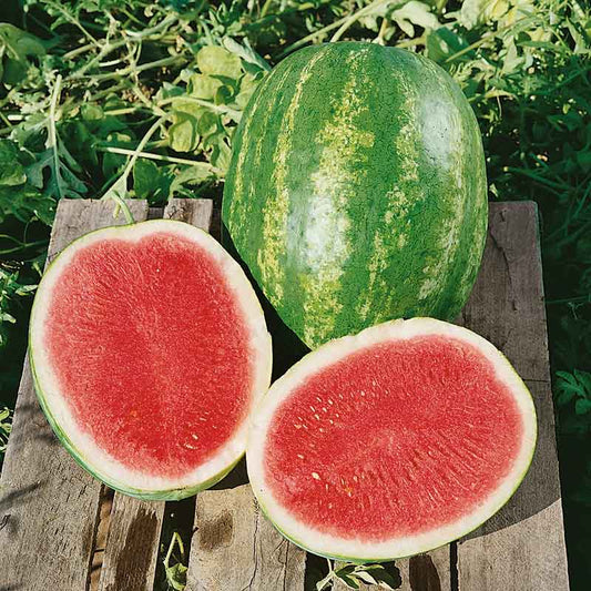 watermelon triple crown f1