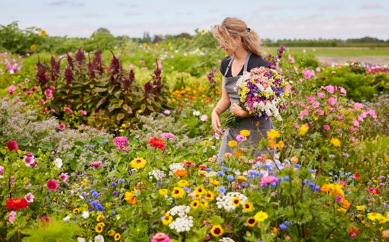 Girl holding wildflowers in field