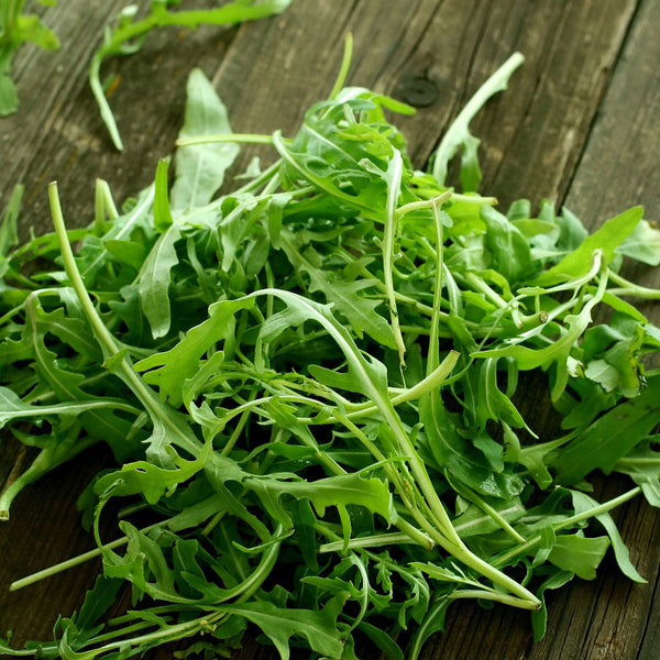 Arugula Seeds - Wild Rocket | Vegetable Seeds in Packets & Bulk | Eden ...